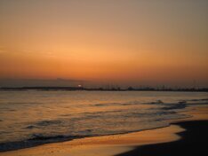 foto 314 (Medium).JPG